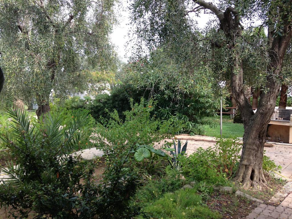 Green Garden Eco-Holiday Vieste Ngoại thất bức ảnh