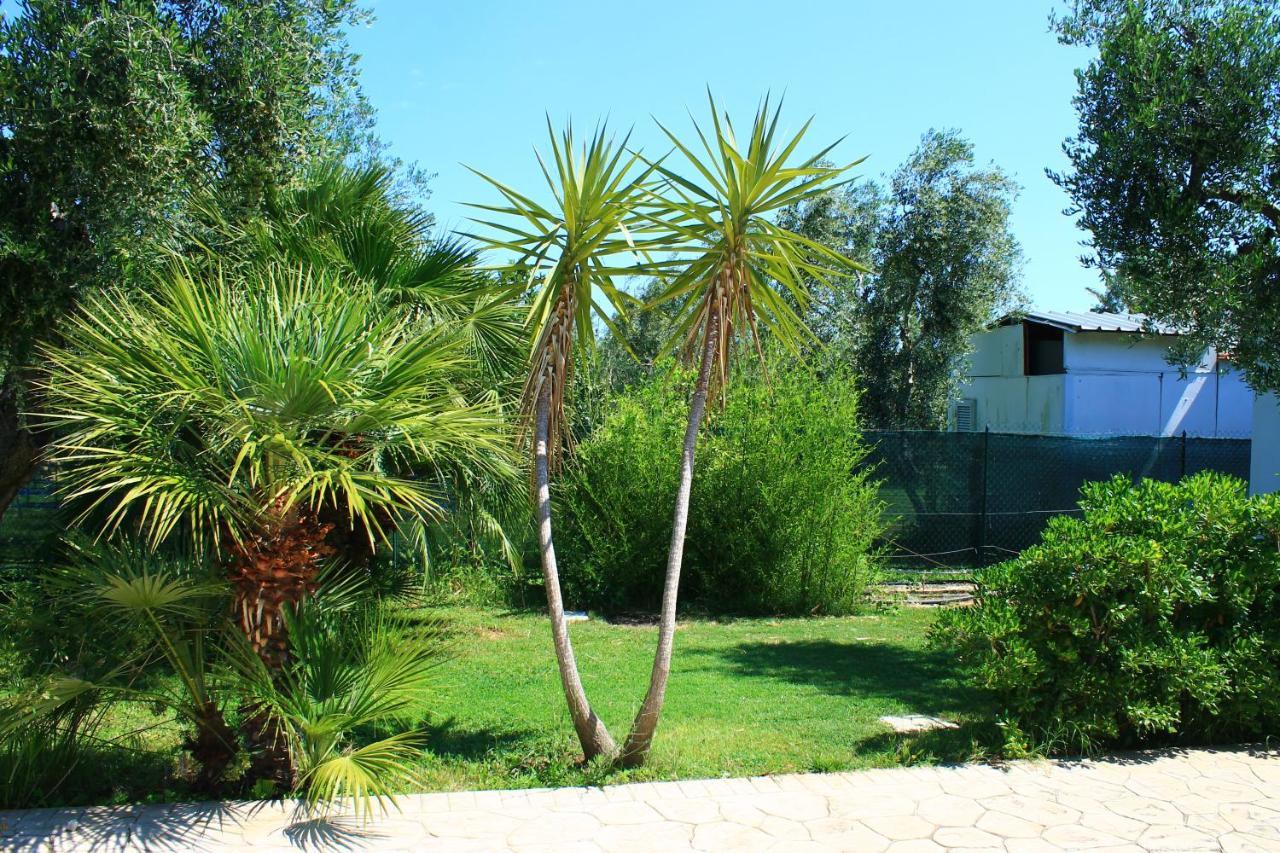 Green Garden Eco-Holiday Vieste Ngoại thất bức ảnh