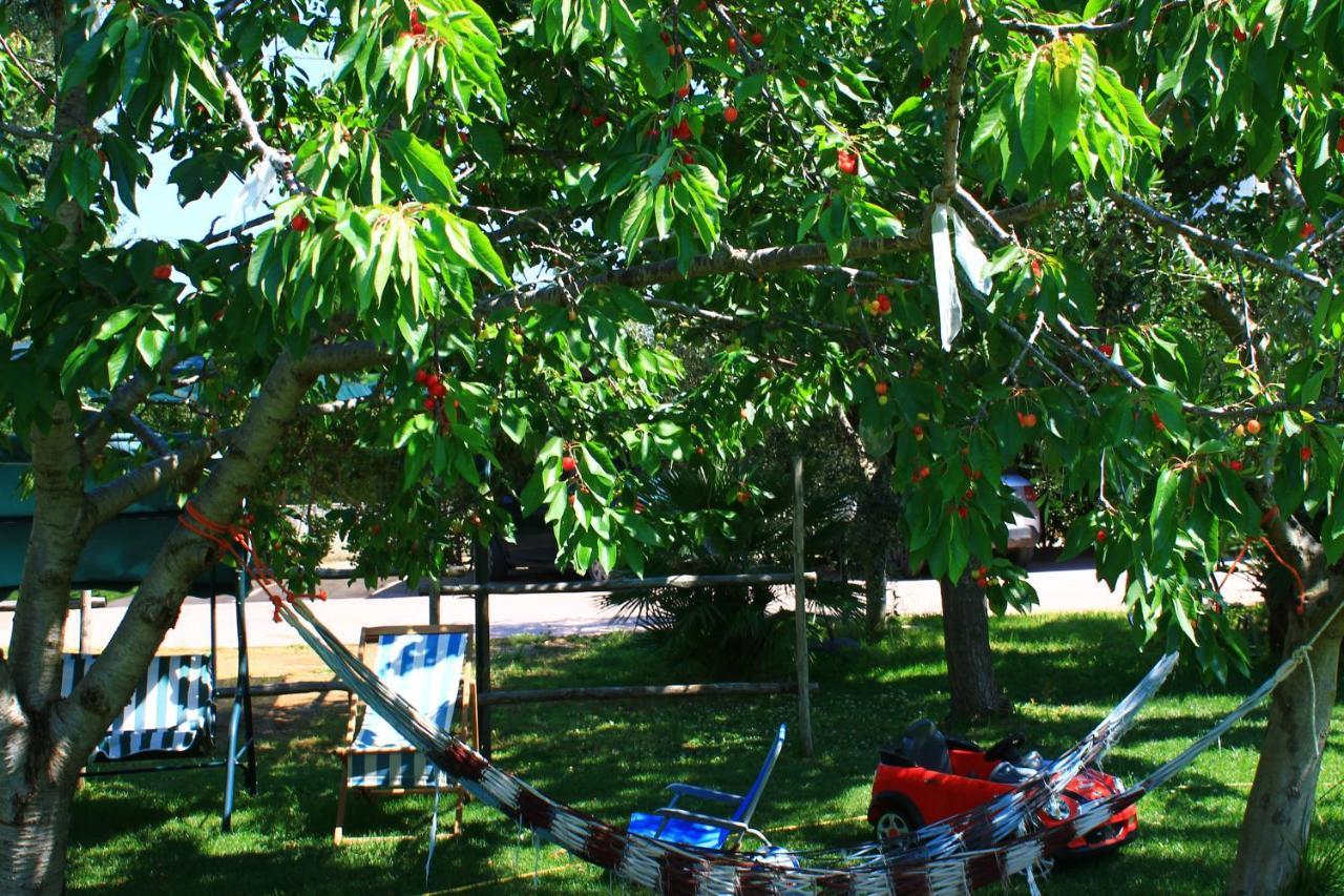 Green Garden Eco-Holiday Vieste Ngoại thất bức ảnh